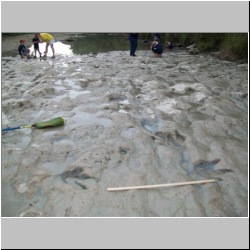 100_0553 (2009-26-07).JPG